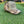 Military Tan BELIEVE Trucker Hat